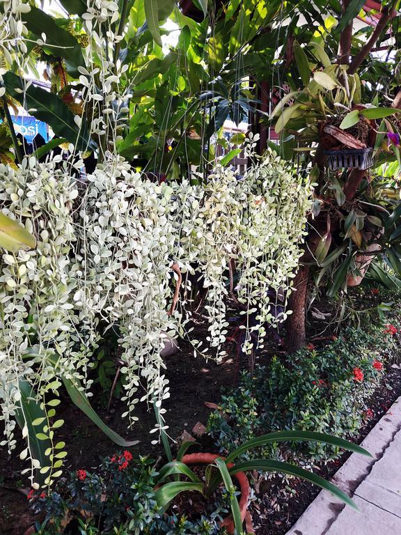 Phonepraseuth Guesthouse Luang Prabang Luaran gambar