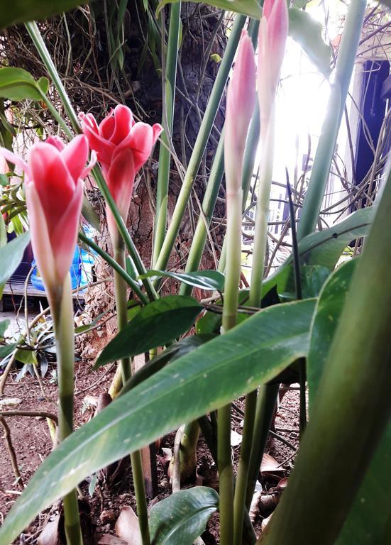 Phonepraseuth Guesthouse Luang Prabang Luaran gambar