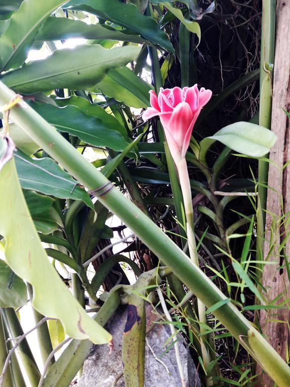 Phonepraseuth Guesthouse Luang Prabang Luaran gambar