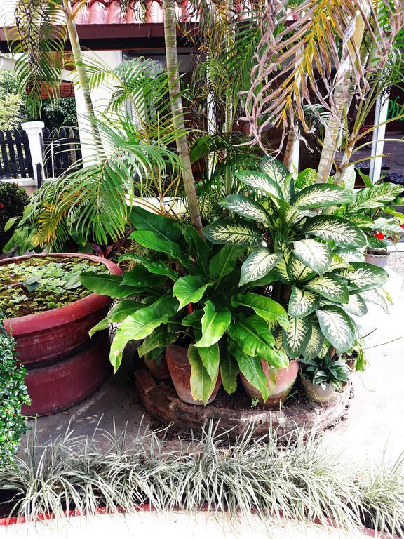 Phonepraseuth Guesthouse Luang Prabang Luaran gambar